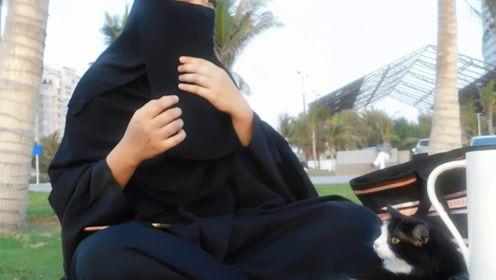 娱乐吃瓜君163,揭秘娱乐圈最新热点事件